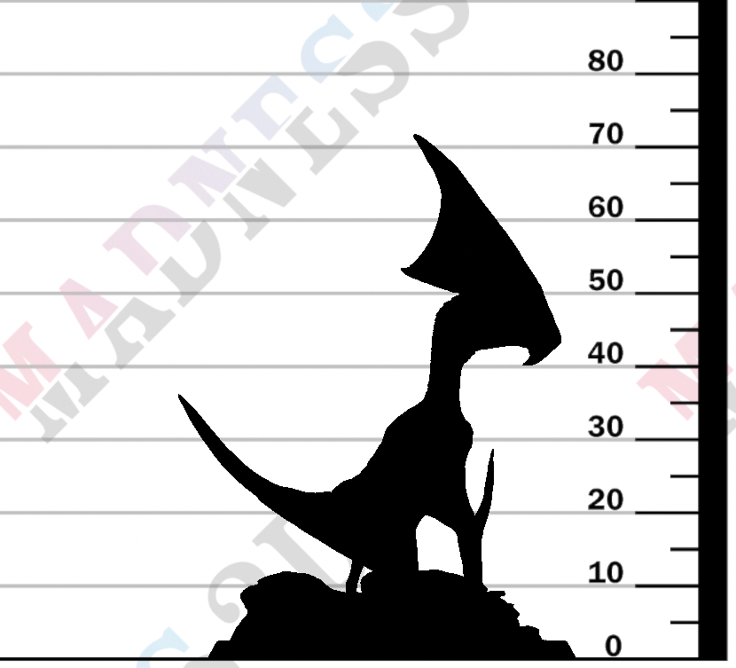 Tupandactylus - Stand