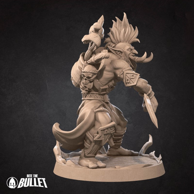Voljin - Troll Shadow Hunter