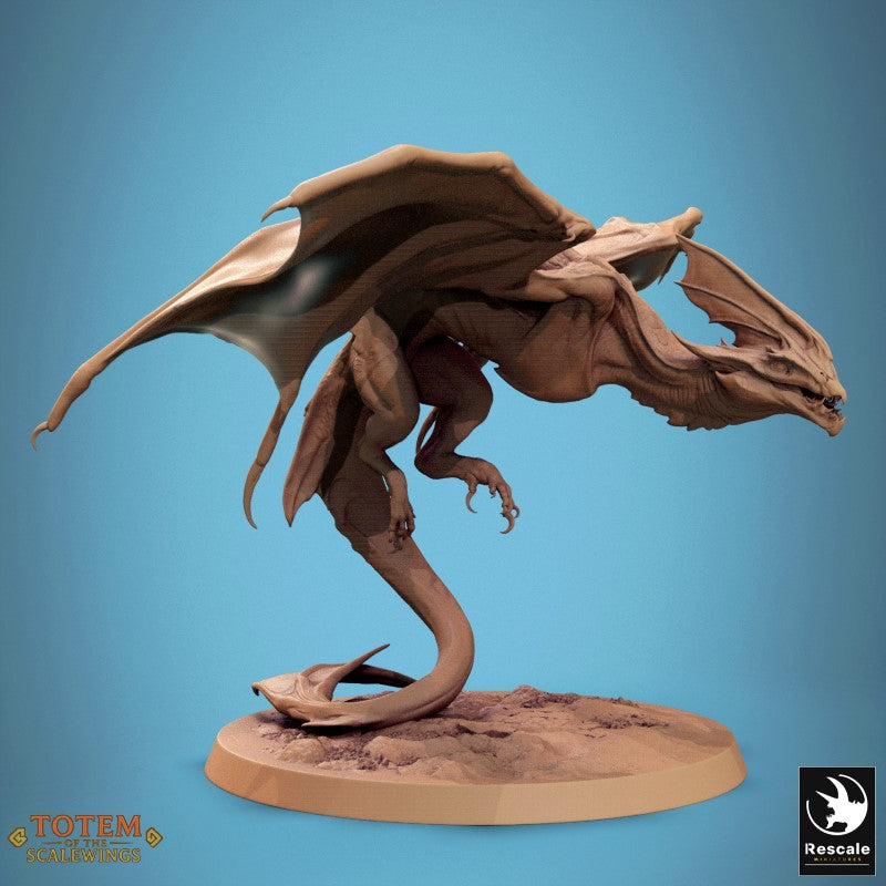 Zicoalt - Fly
