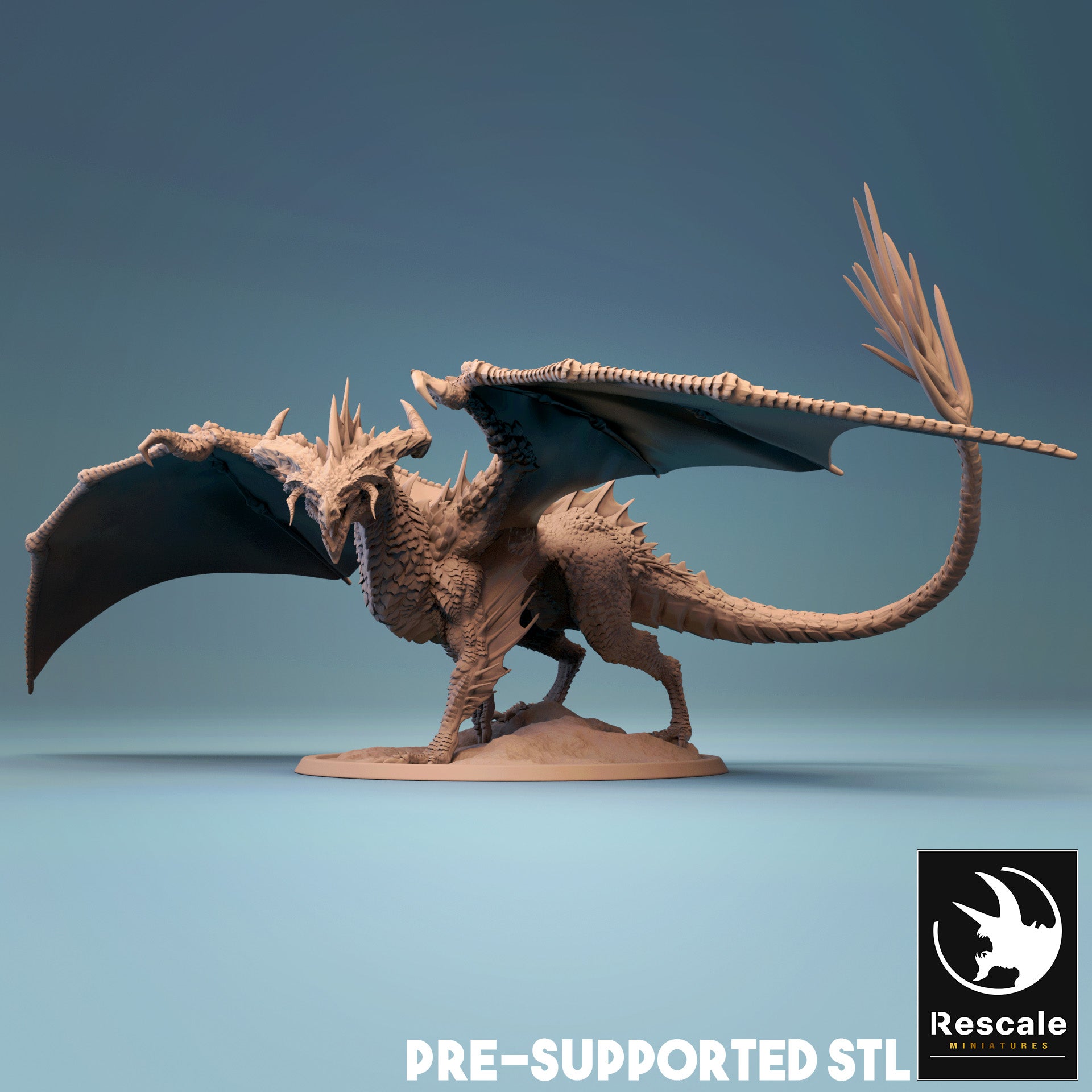 Adult Black Dragon