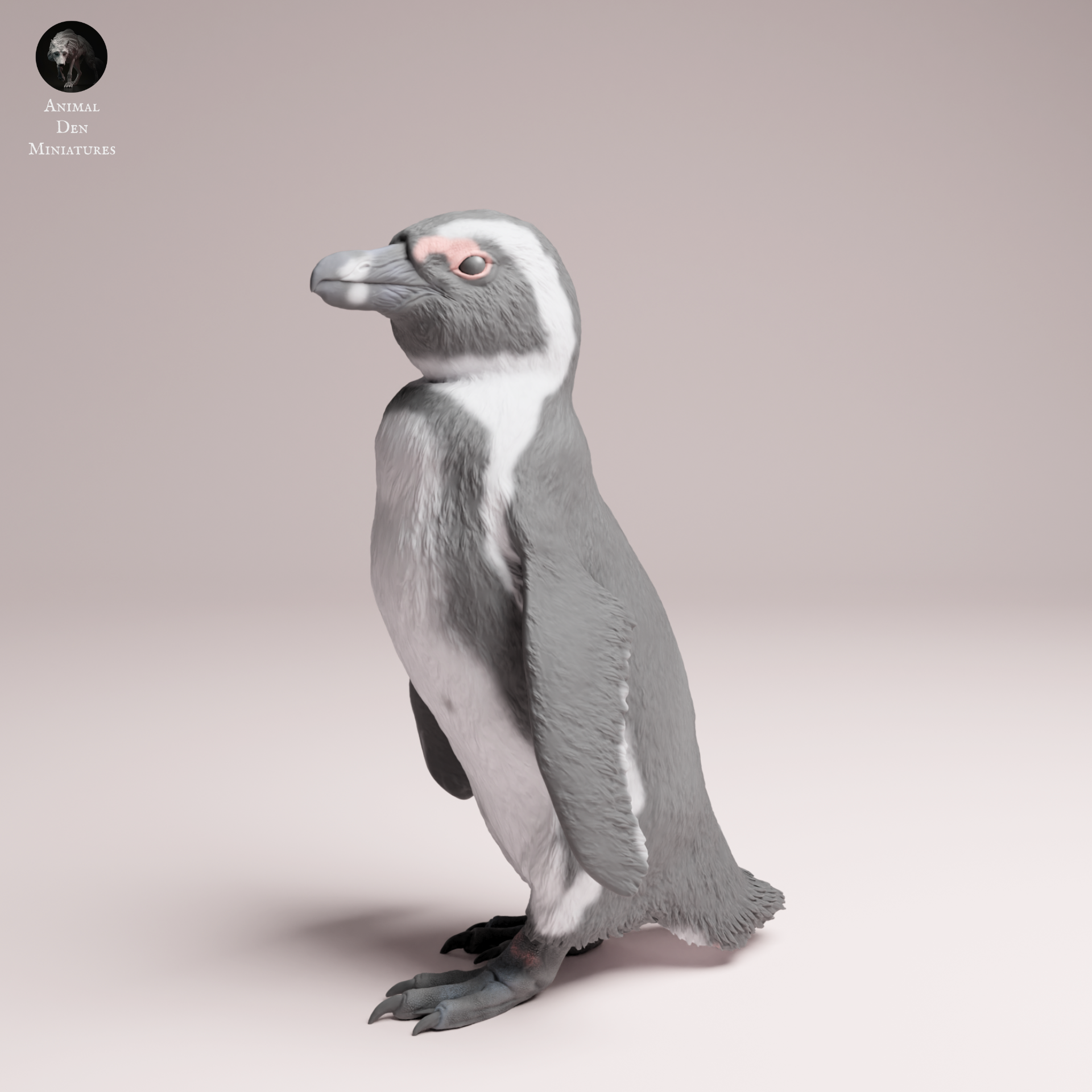African Penguin 1:16