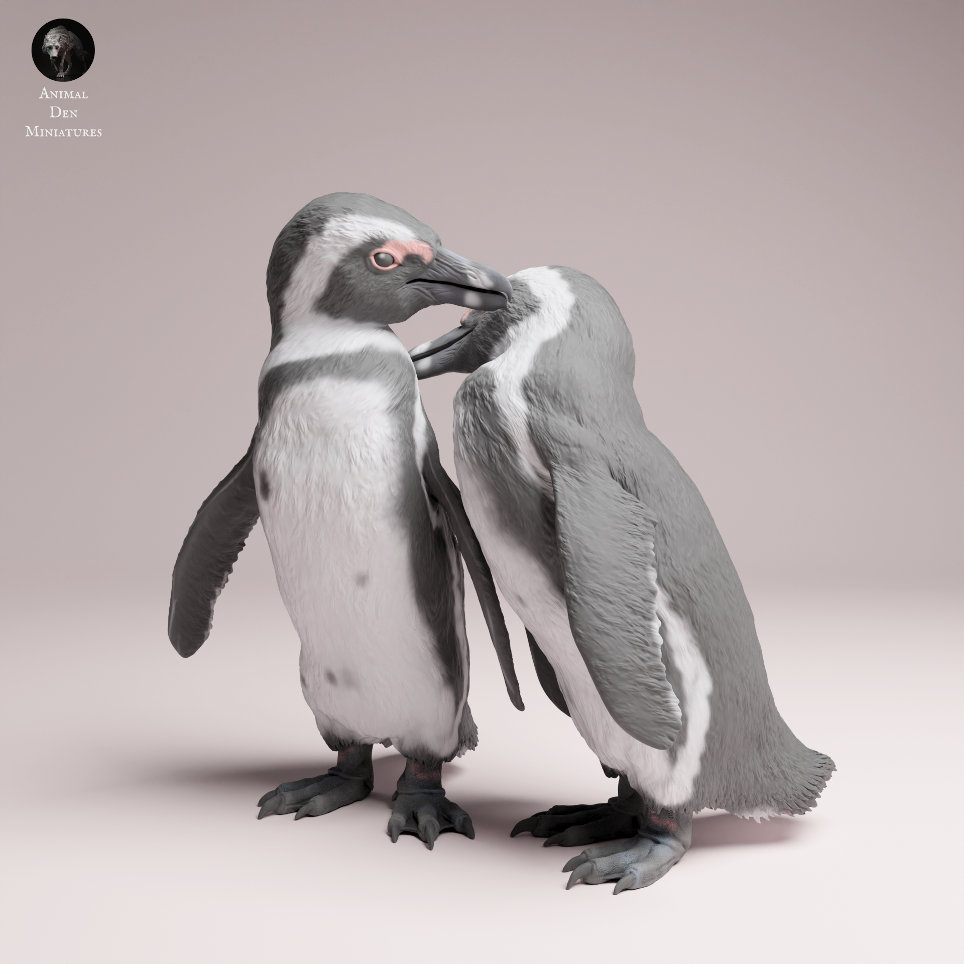 African Penguin 1:16