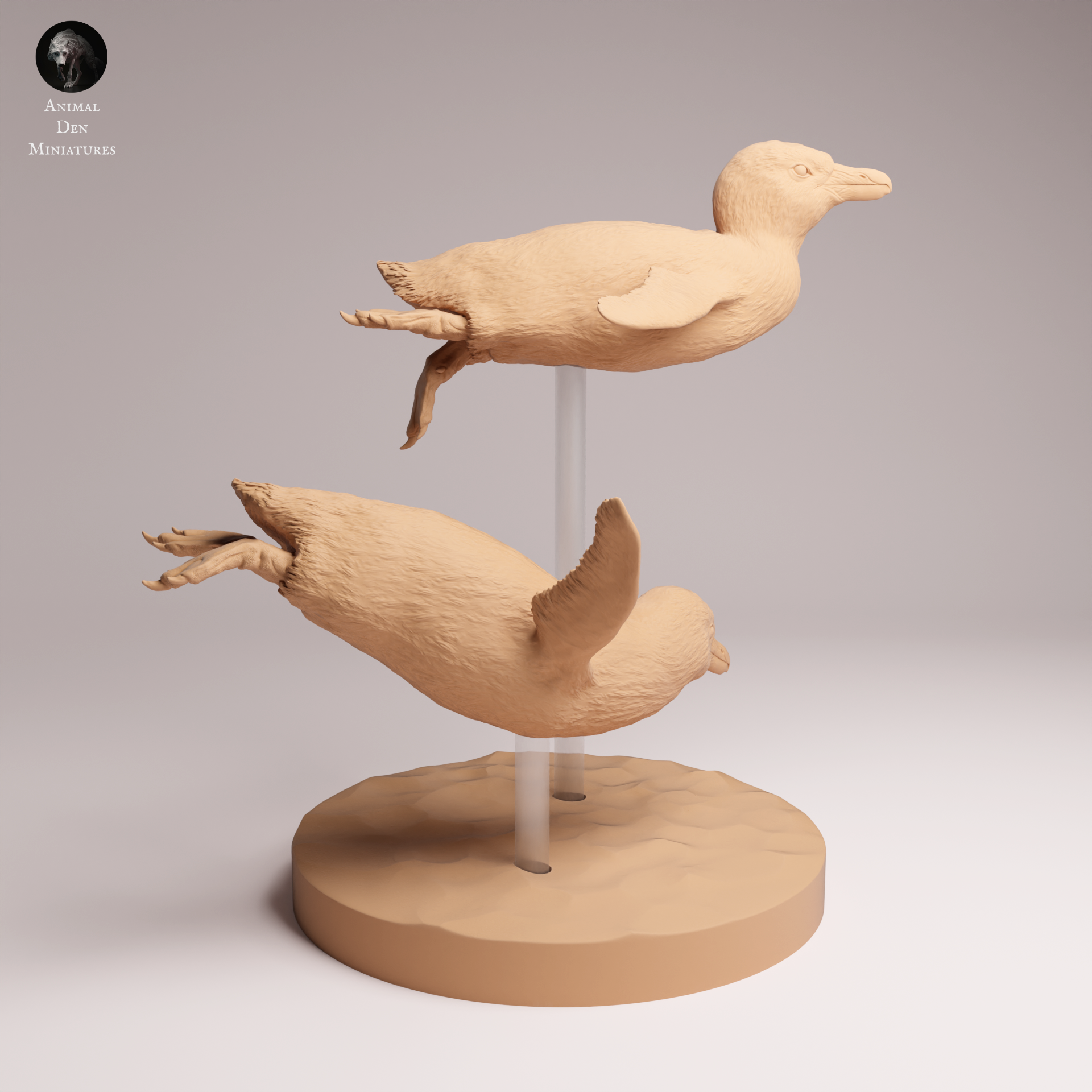 African Penguin Swim 1:16