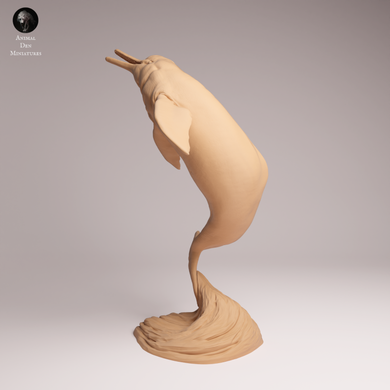 Amazon River Dolphin Breaching - 1-24