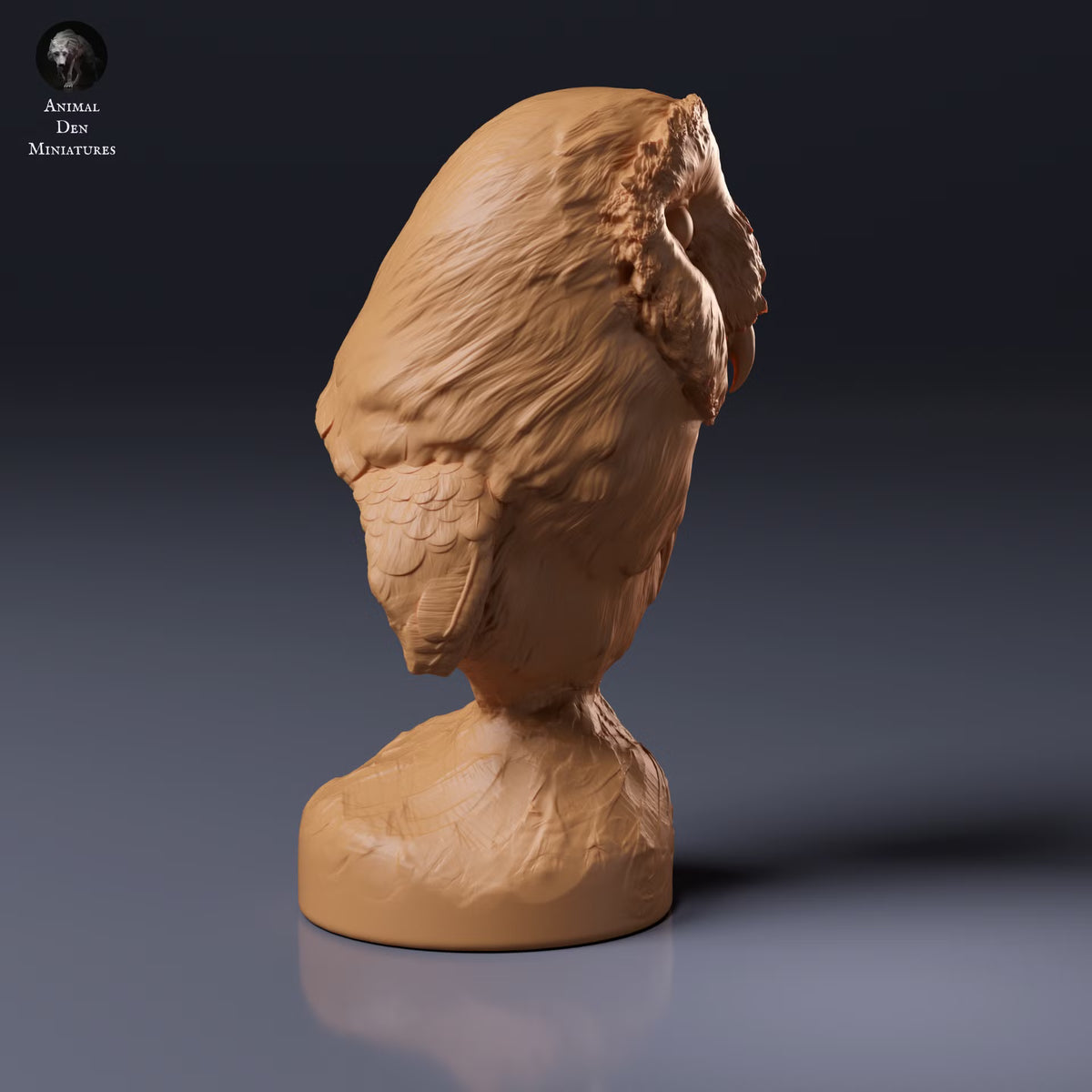American Barn Owl - Bust 1:4