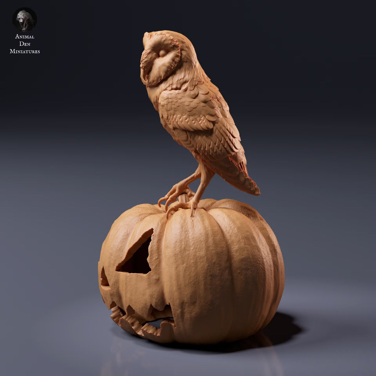 American Barn Owl 1:8