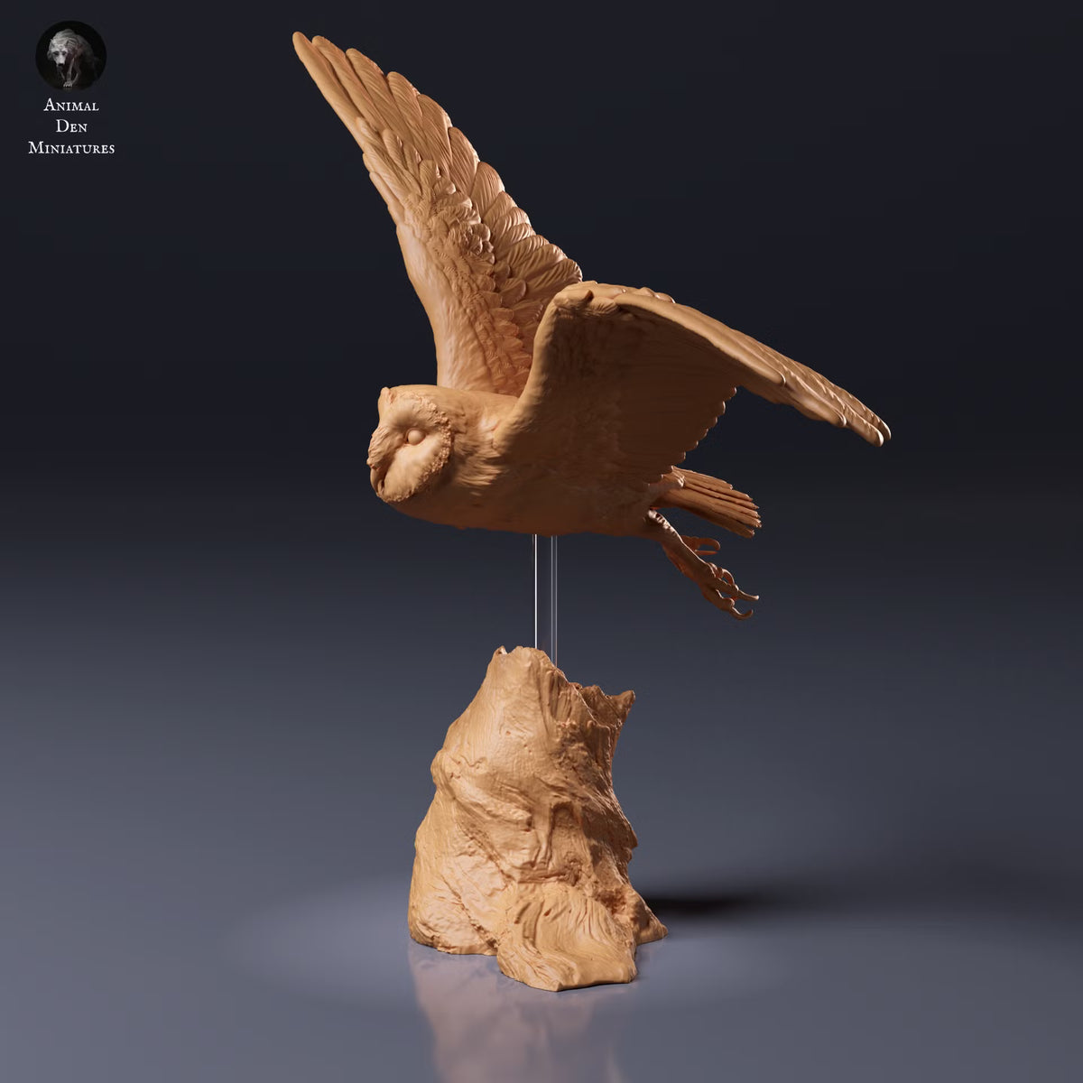 American Barn Owl - Fly 1:8