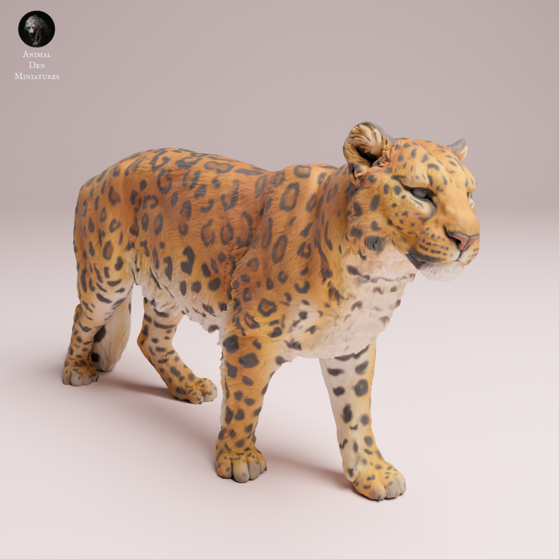 Amur Leopard