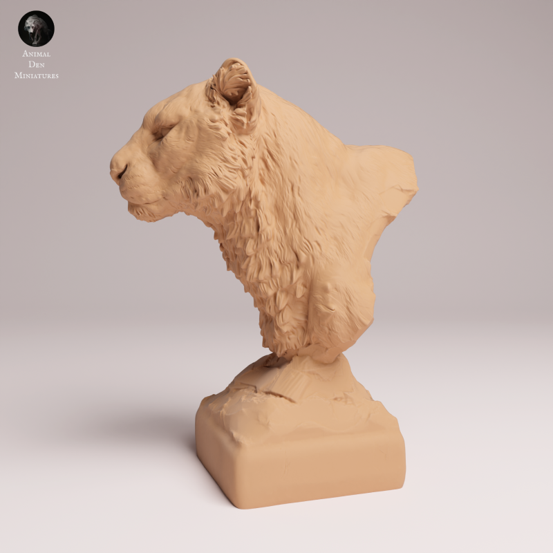 Amur Leopard - Bust