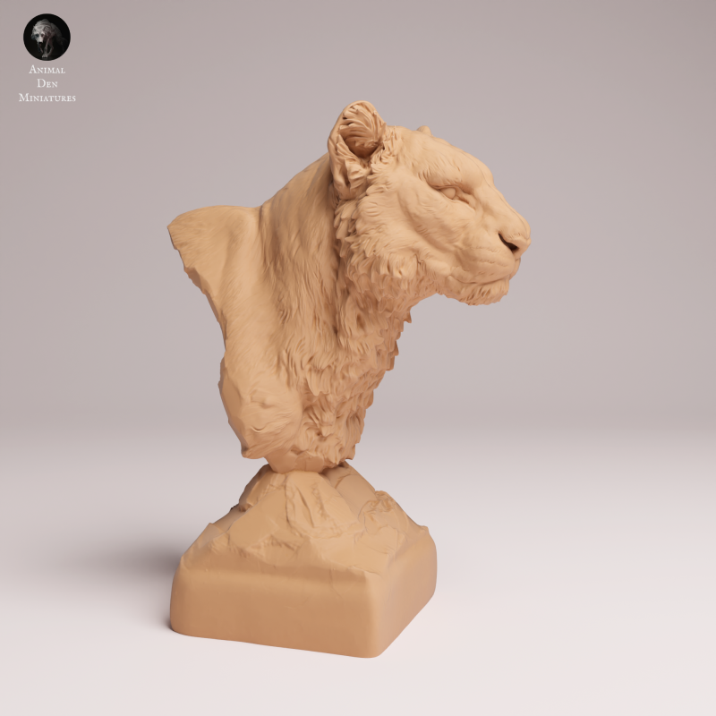 Amur Leopard - Bust