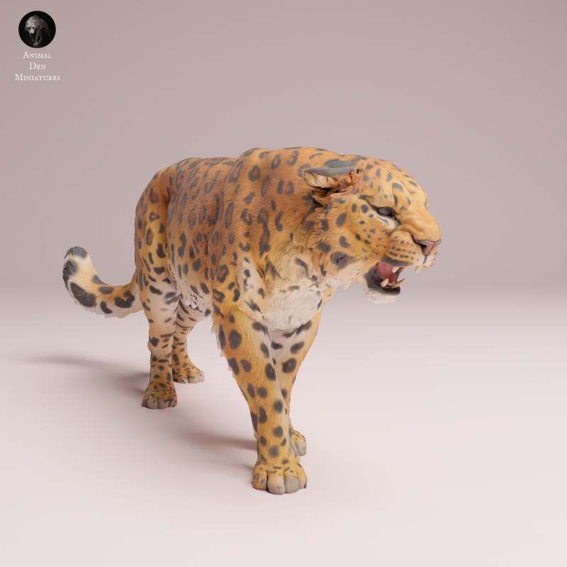 Amur Leopard Roar