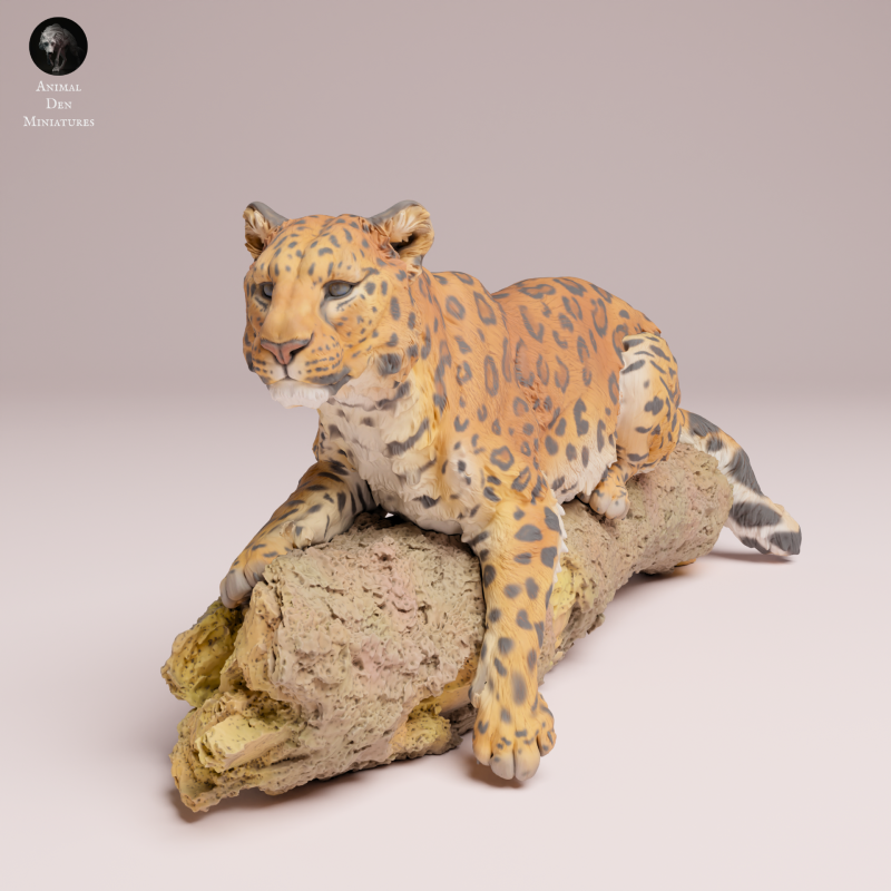 Amur Leopard on Tree