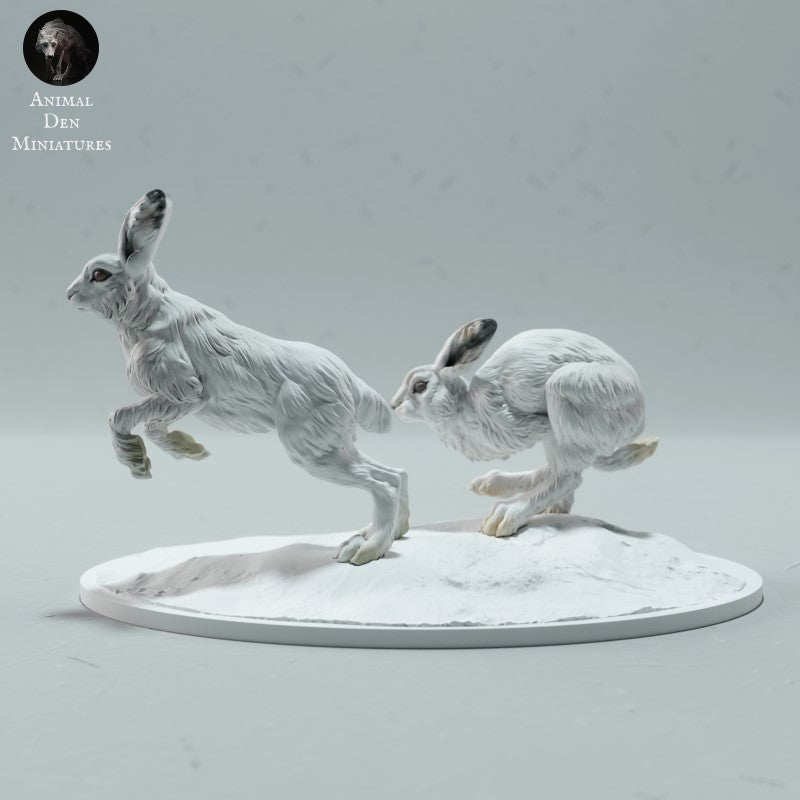 Arctic Hares