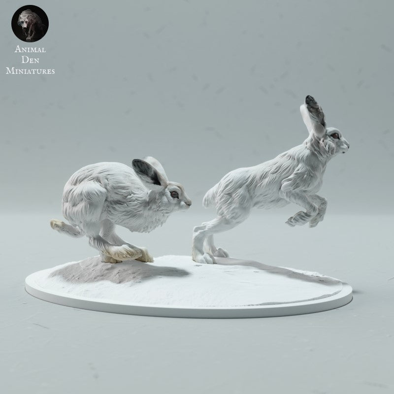 Arctic Hares