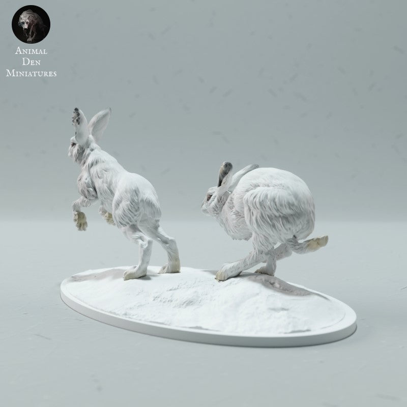 Arctic Hares