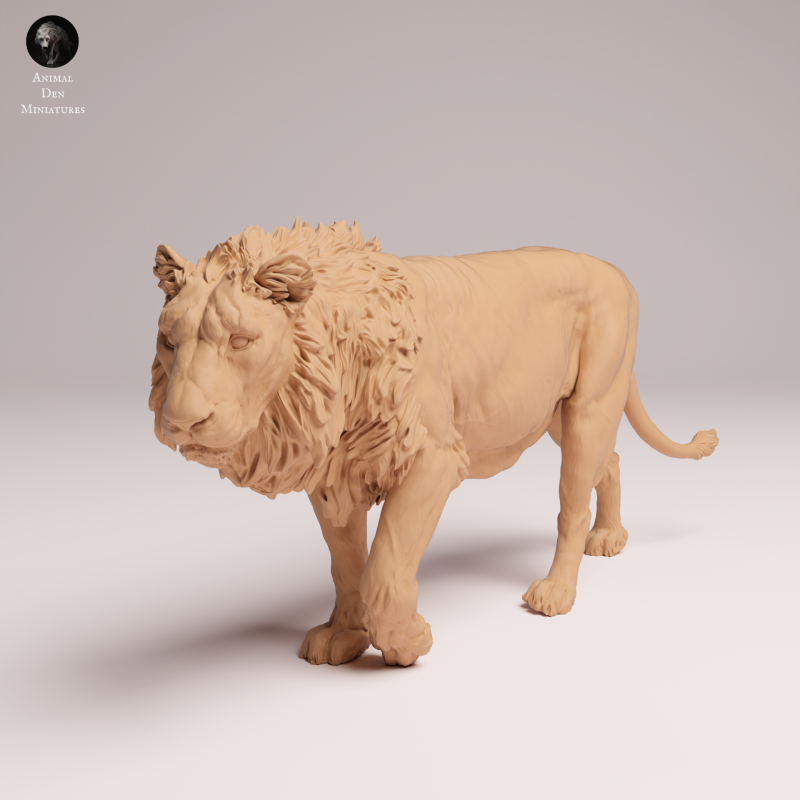 Asiatic Lion 1:24