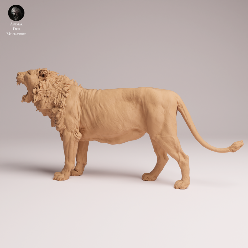 Asiatic Lion - Yawning 1:24