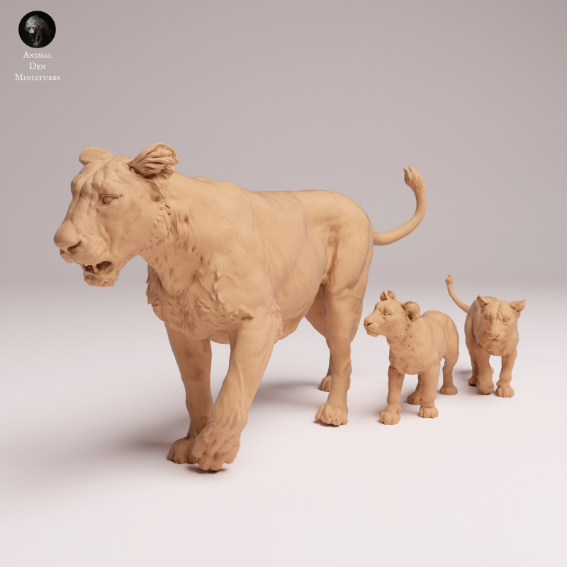 Asiatic Lion - Lioness and Cubs 1:24