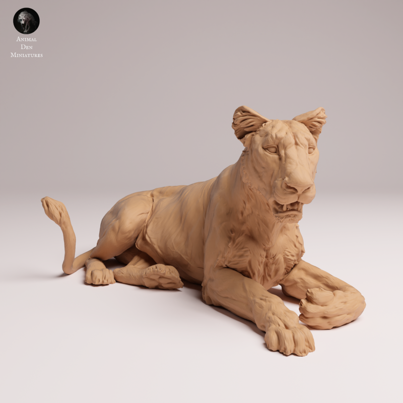 Asiatic Lion - Lioness Lying 1:24