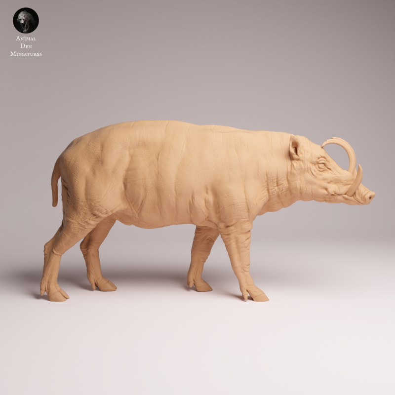 North Sulawesi Barbirusa Boar 1:16