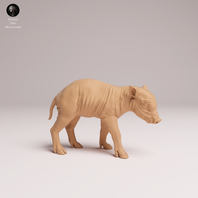 North Sulawesi Barbirusa Piglet 1:16