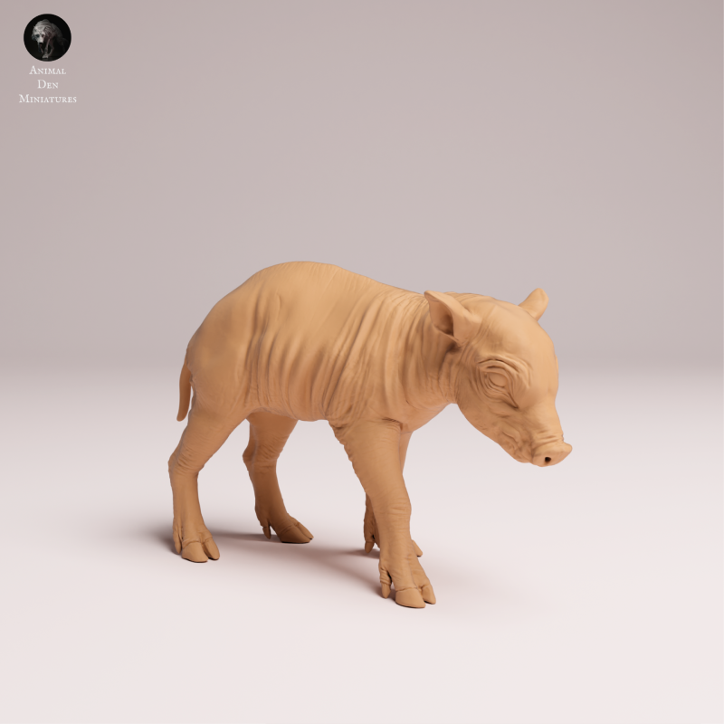 North Sulawesi Barbirusa Piglet 1:16