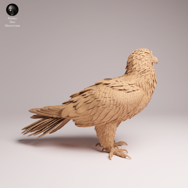 Bearded Vulture 1:12