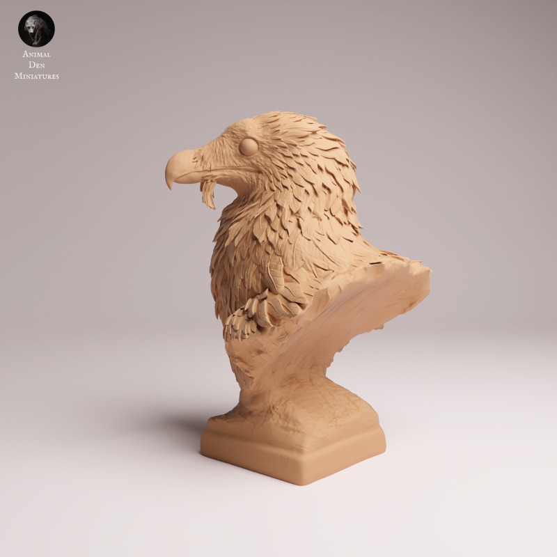 Bearded Vulture Bust 1:6