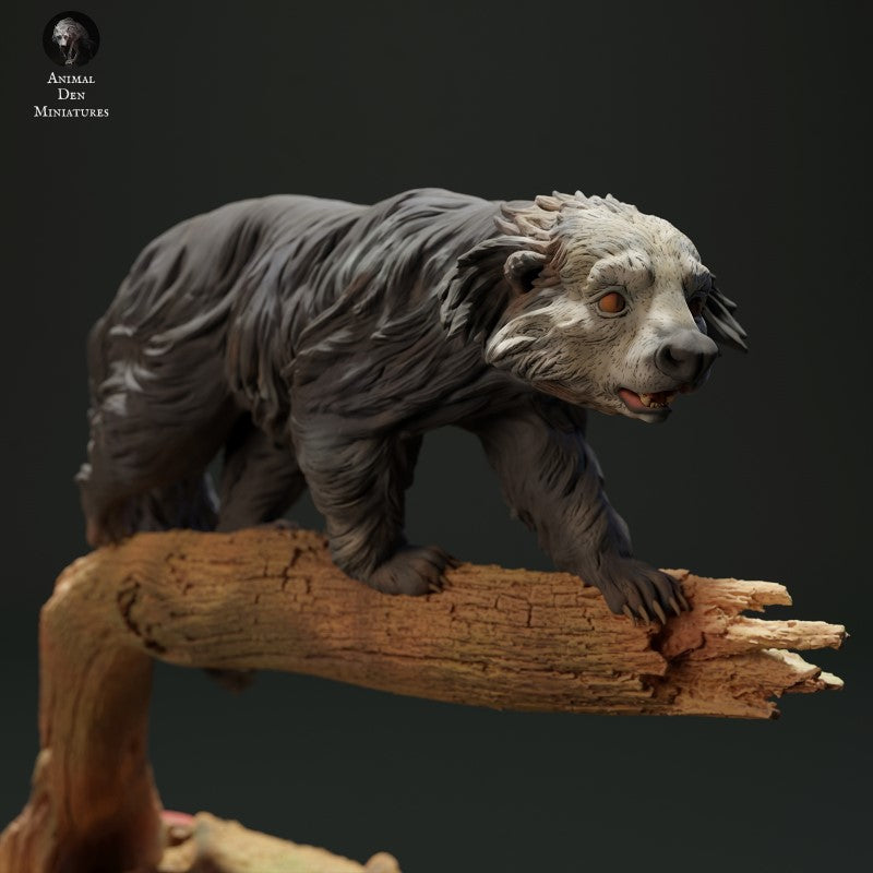 Binturong Bear Cat