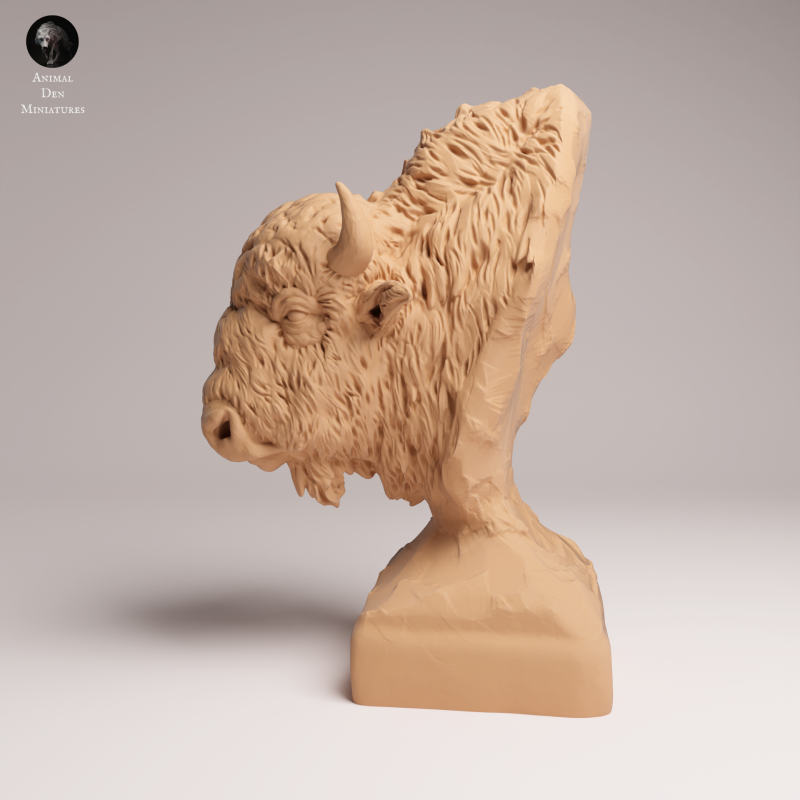 American Bison 1-16 - Bust