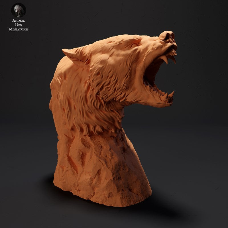 Black Bear -  Bust