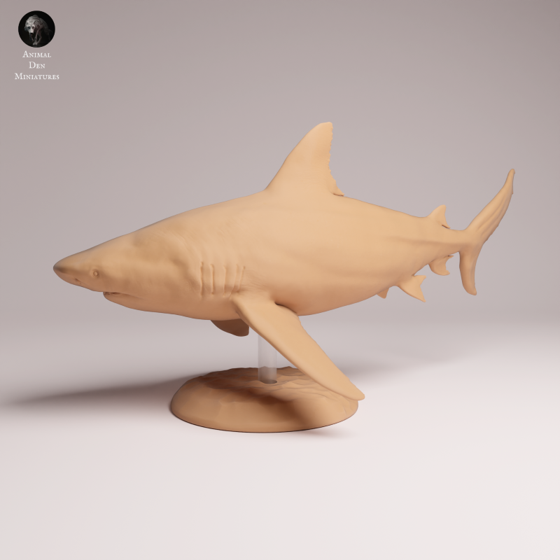 Bull Shark 1:32
