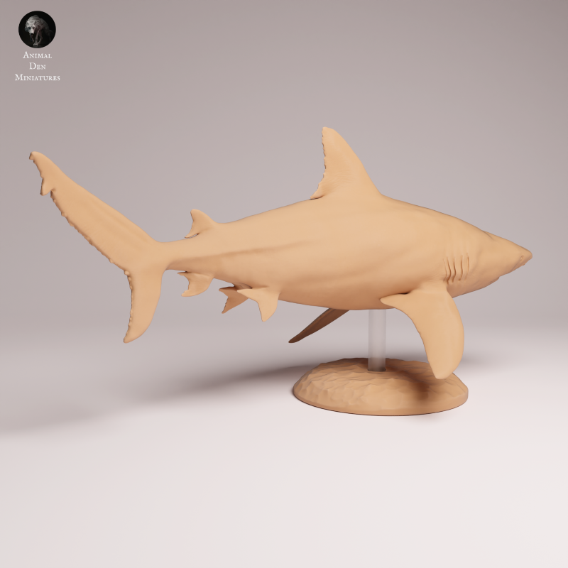 Bull Shark 1:32