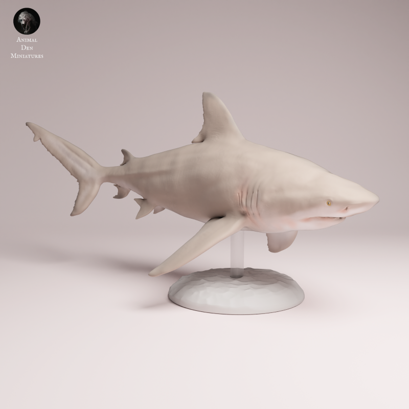 Bull Shark 1:32