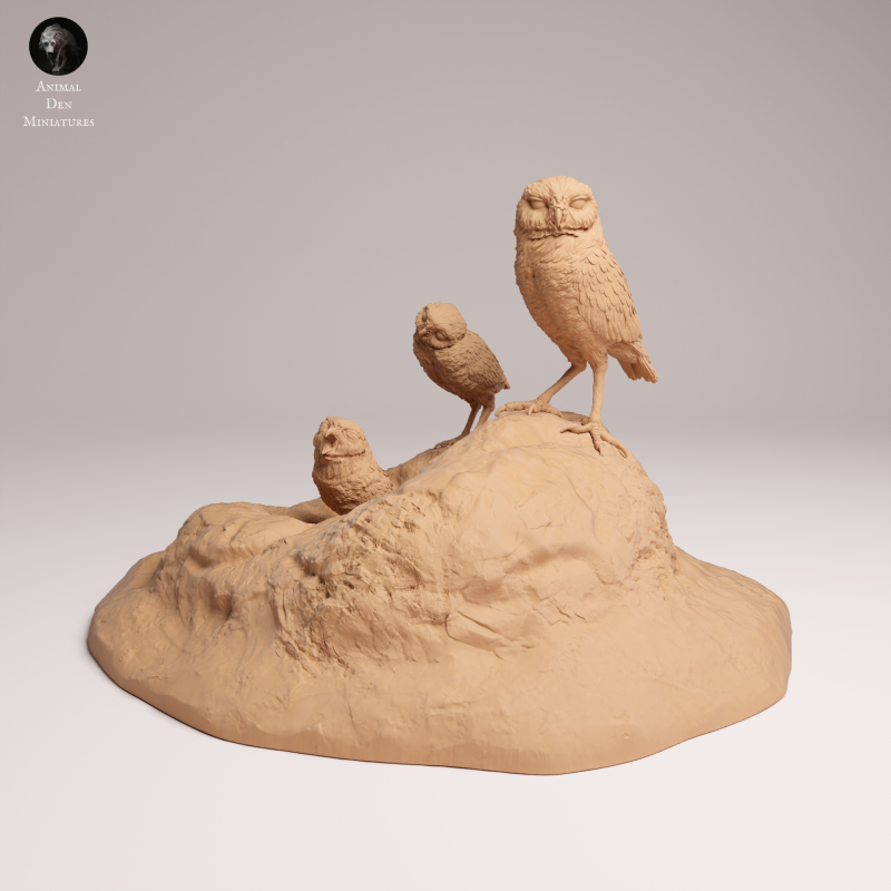 Burrowing Owls 1-6