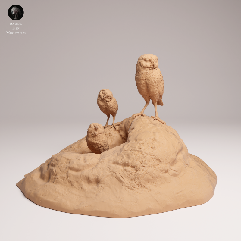 Burrowing Owls 1-6