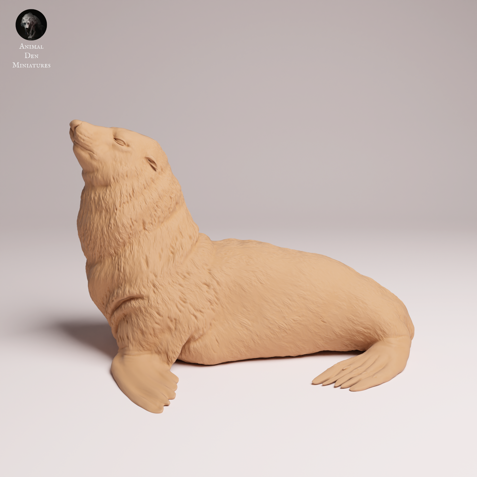 Cape Fur Seal 1:24