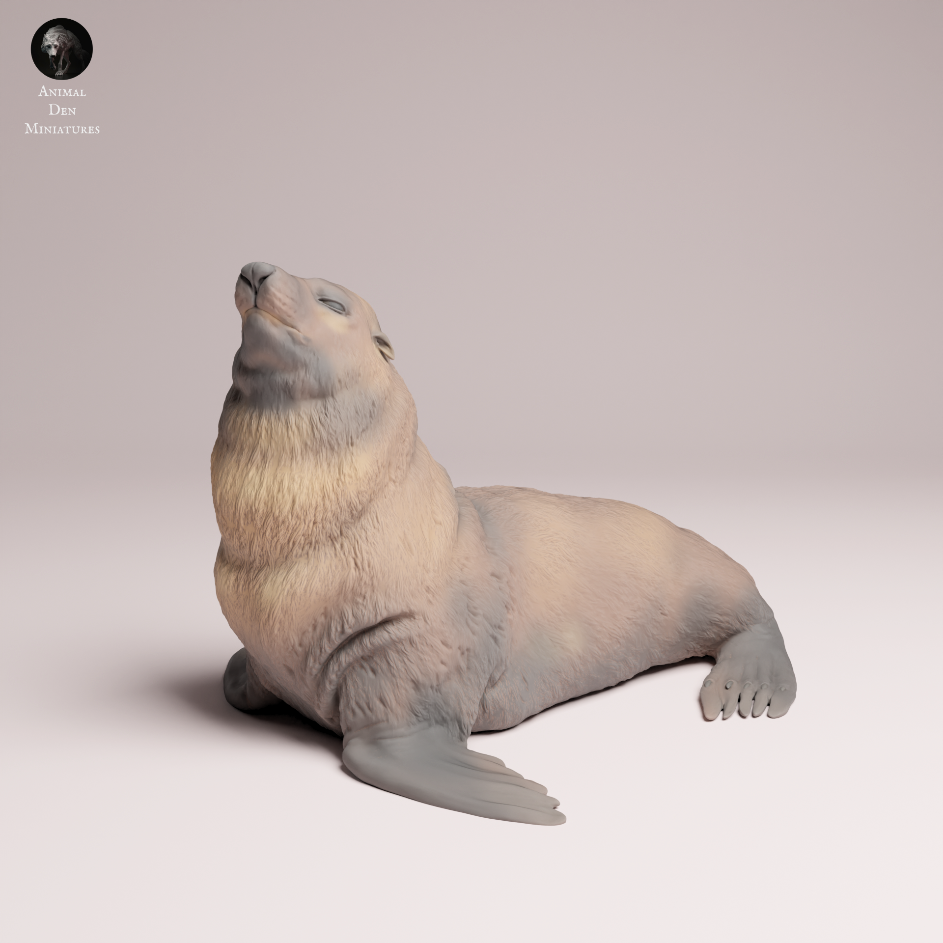 Cape Fur Seal 1:24