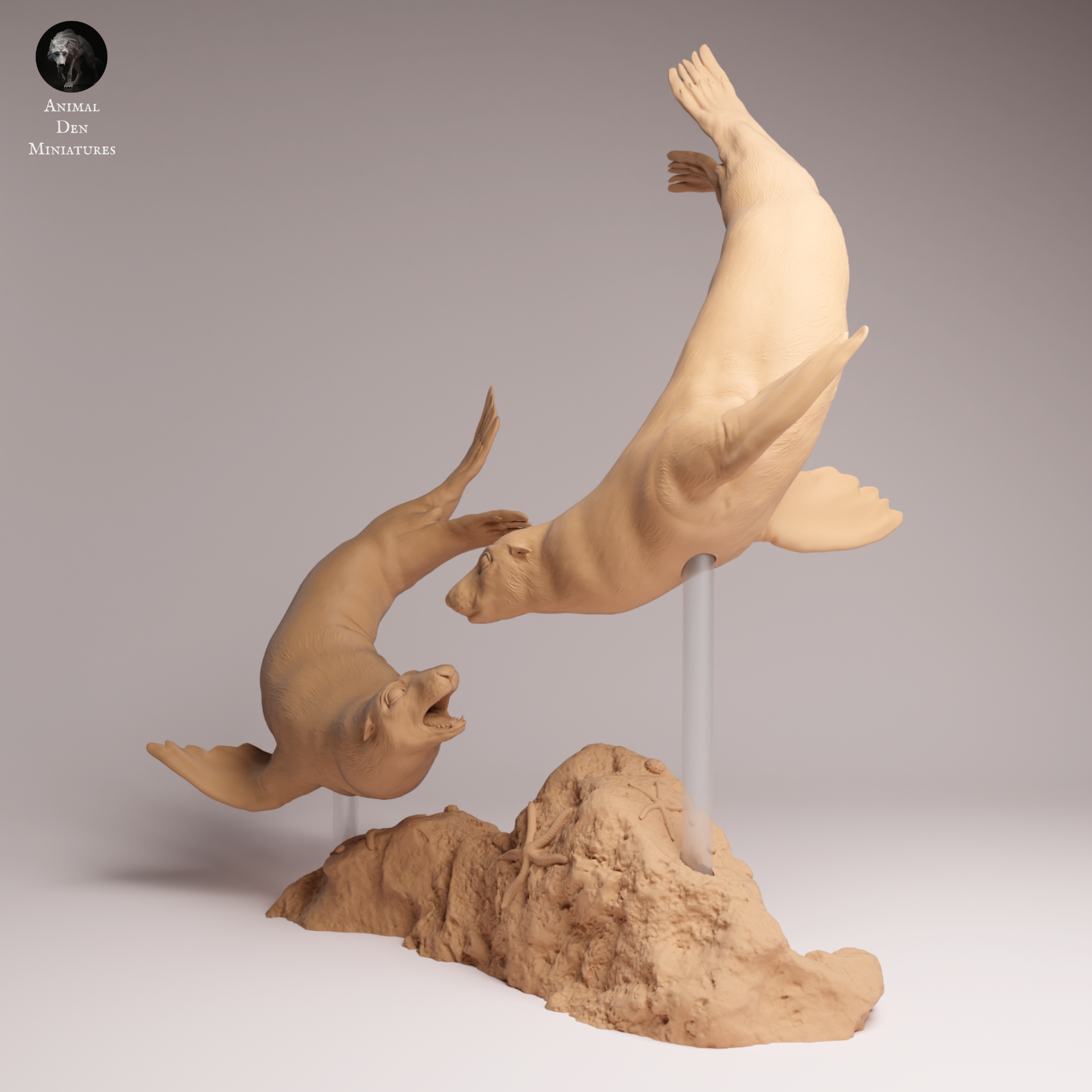 Cape Fur Seal Swim 1:24