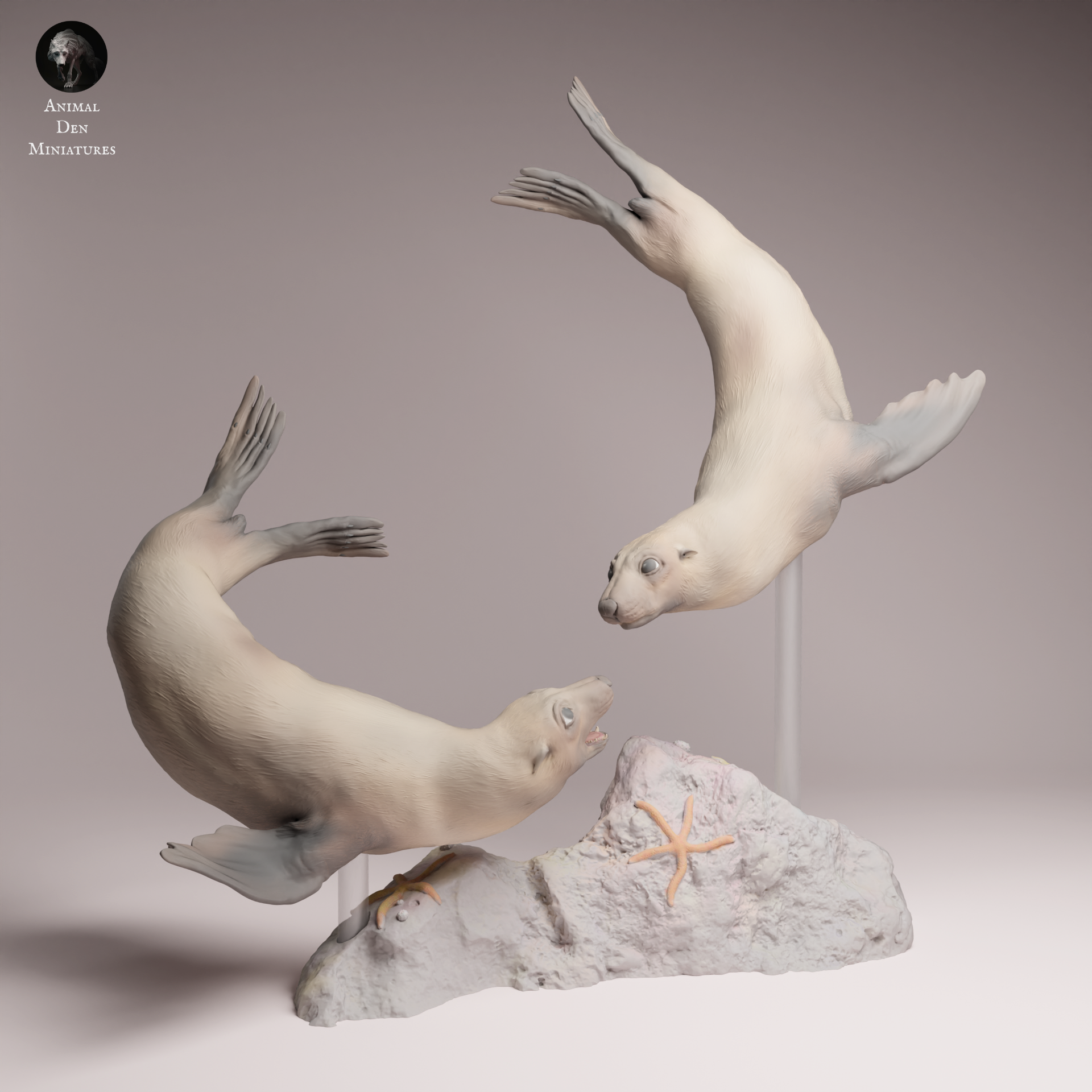 Cape Fur Seal Swim 1:24