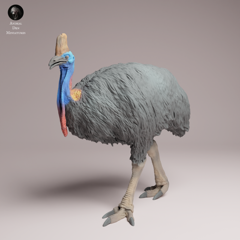 Southern Cassowary 1:24