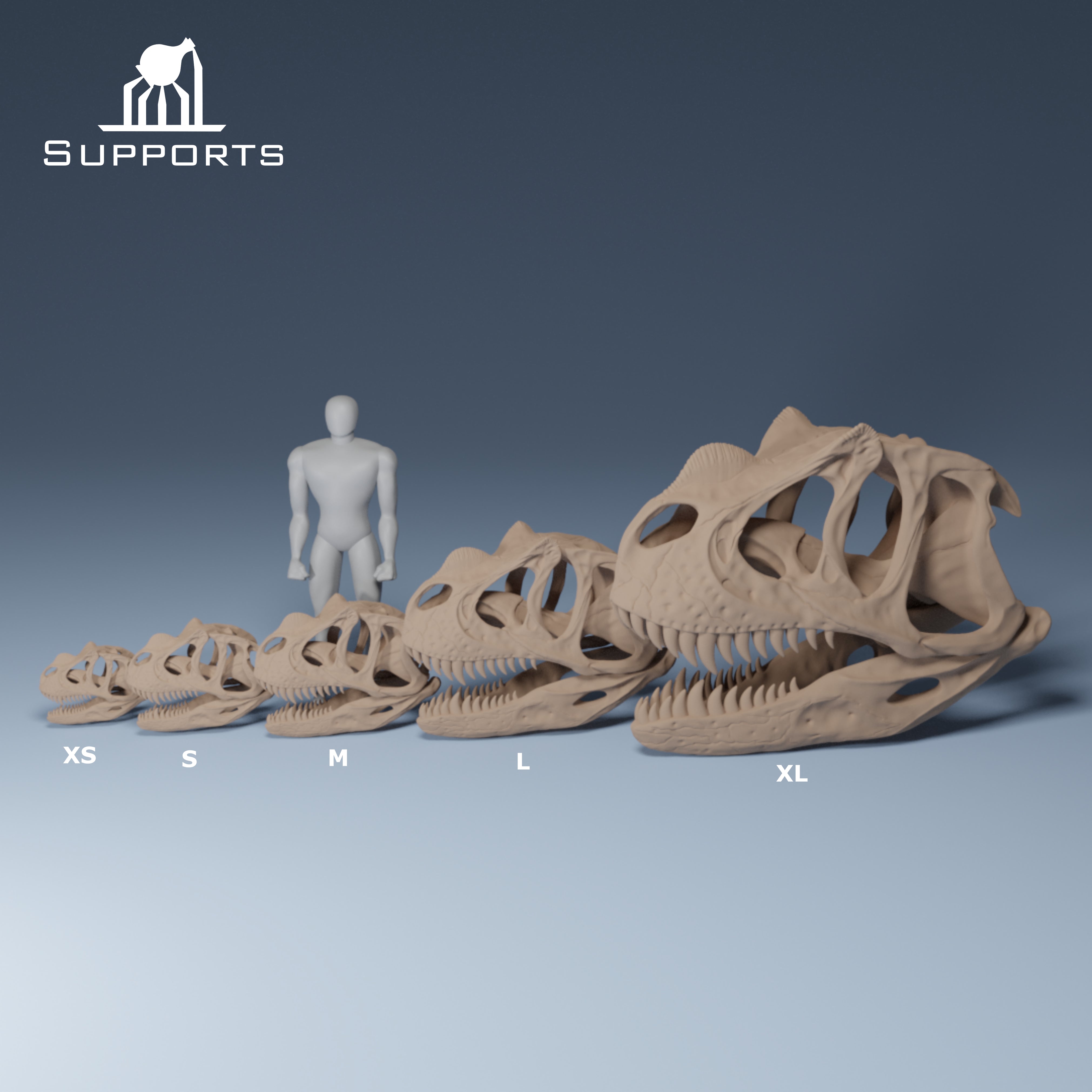 Dinosaur Skulls - Group 1