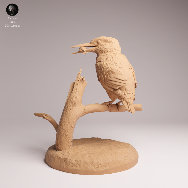 Common Kingfisher 1:2