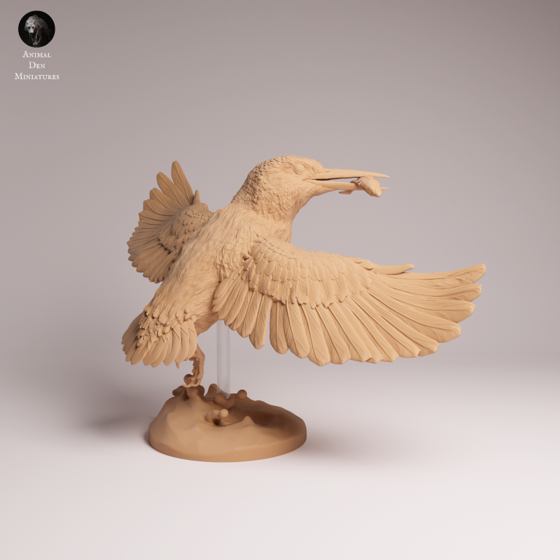 Common Kingfisher Flying 1:2