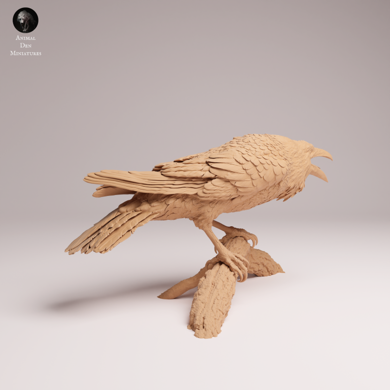 Common Raven 1:6