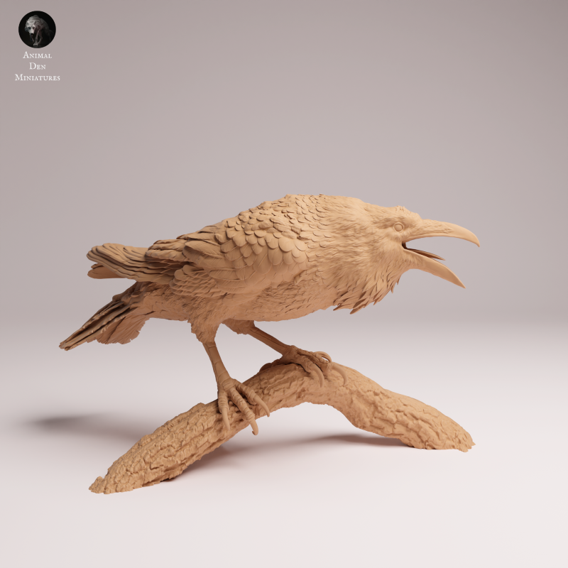 Common Raven 1:6