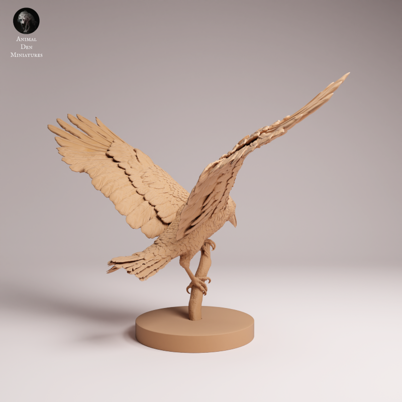 Common Raven Landing 1:6