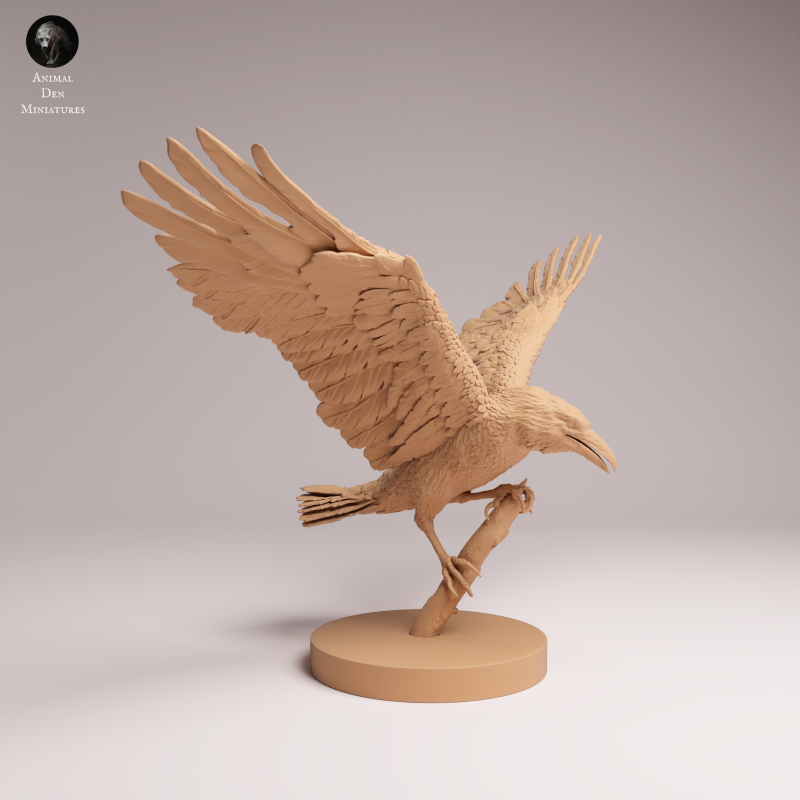 Common Raven Landing 1:6