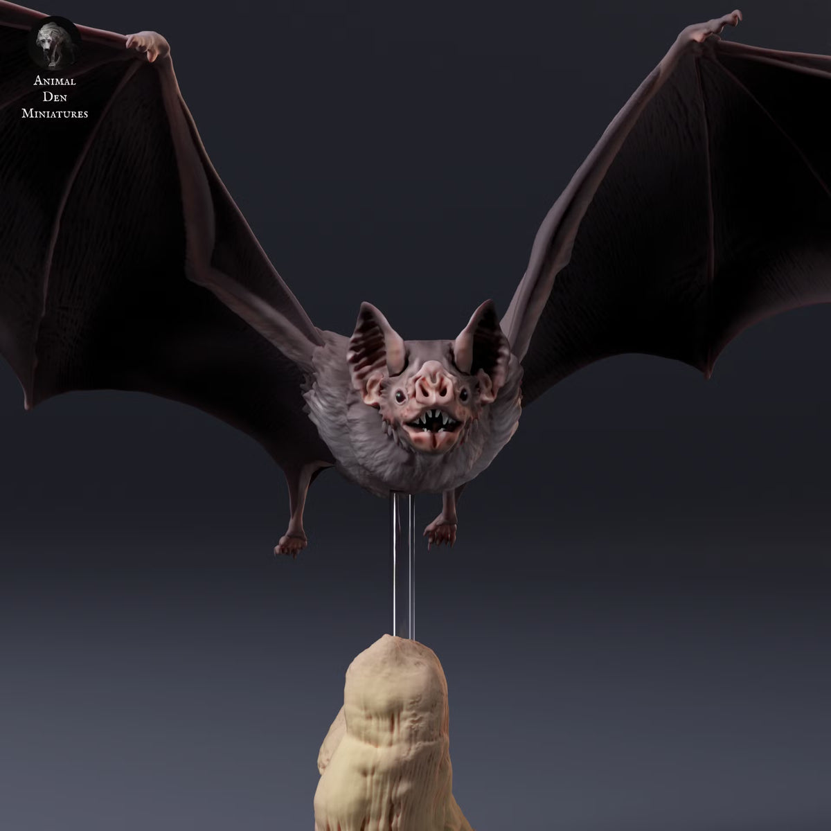 Common Vampire Bat Flying 1:2