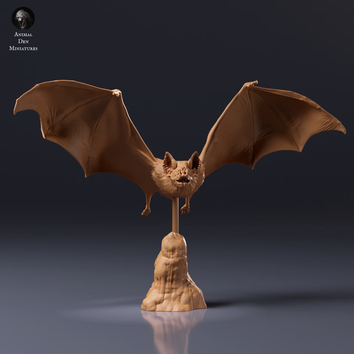 Common Vampire Bat Flying 1:2